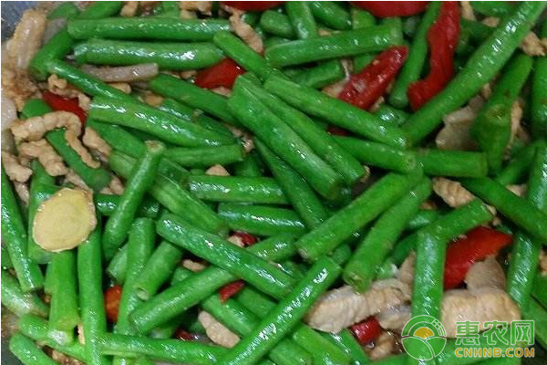 å¤§æ£šè±‡è±†é«˜æ•ˆç§æ¤ç®¡ç†æŠ€æœ¯è¦ç‚¹