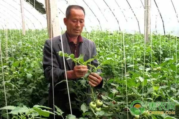 ç•ªèŒ„æ•´æžæ‰“æˆå­˜åœ¨çš„è¯¯åŒºåŠè§£å†³åŠžæ³•