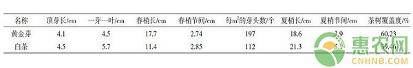 è´µå·žå…­æžç‰¹åŒºé»„é‡‘èŠ½èŒ¶å¼•ç§è¡¨çŽ°åŠæ ½åŸ¹æŠ€æœ¯