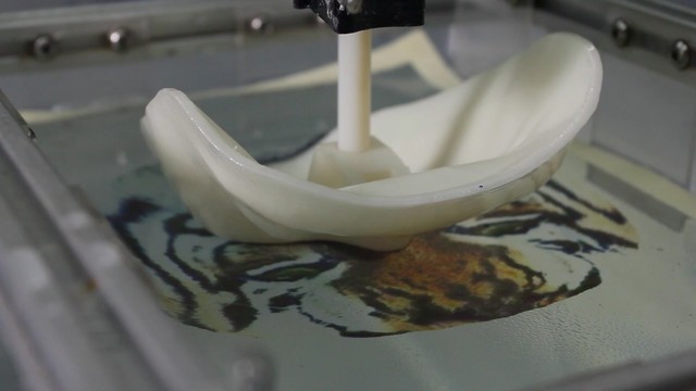 Calculate hydrographic printing 3D printing color revolution explorer