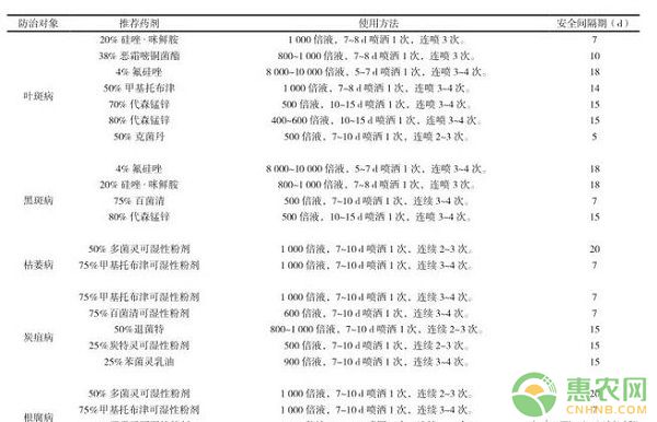 æ¹–å—å¤šèŠ±é»„ç²¾è§„èŒƒåŒ–æ ½åŸ¹æŠ€æœ¯åŠç—…è™«å®³é˜²æ²»è¦ç‚¹