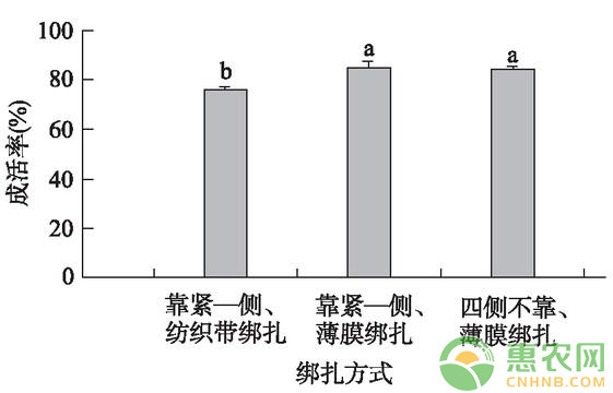 æµ…è°ˆæ ¸æ¡ƒæ”¹è‰¯åž‹èŠ½æŽ¥æŠ€æœ¯çš„æˆæ´»çŽ‡