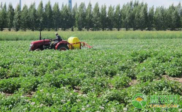 Avoid applying pesticides on rainy days or in the hot sun