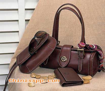 Bag: Workplace Fashion Mature Feminine (5 models)