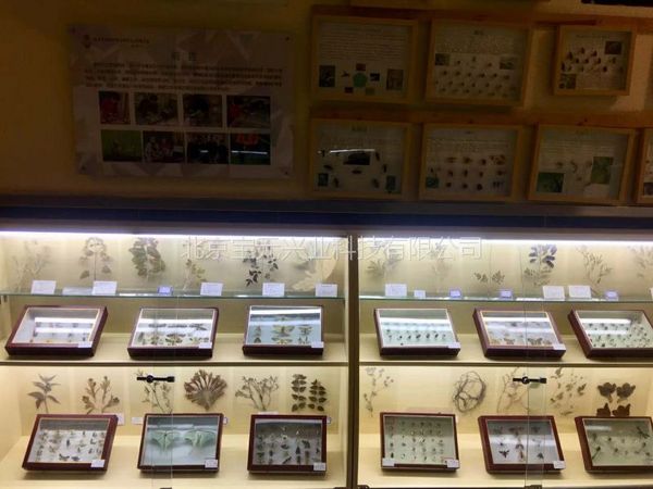 Insect specimen box enters the college biological specimen room