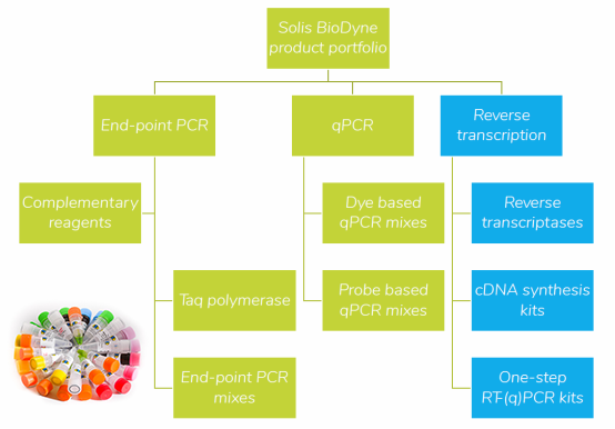 PCR supporting reagent