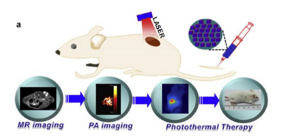 FOTRIC thermal imaging is used for tumor photothermal therapy and materials research