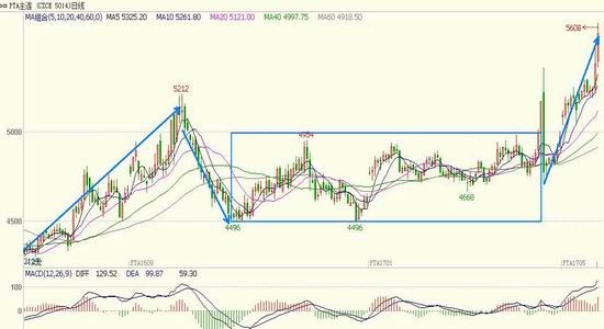 South China Annual Report: PTA is slowly rising