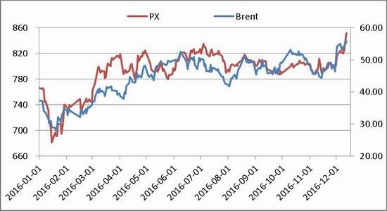 South China Annual Report: PTA is slowly rising