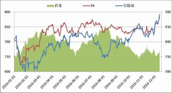 South China Annual Report: PTA is slowly rising