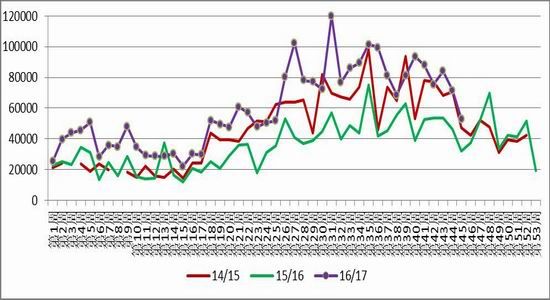 Lu Zheng Futures: US cotton looking for support