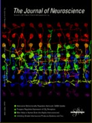 Liu Guosong and others found that supplementing magnesium ions can reduce anxiety