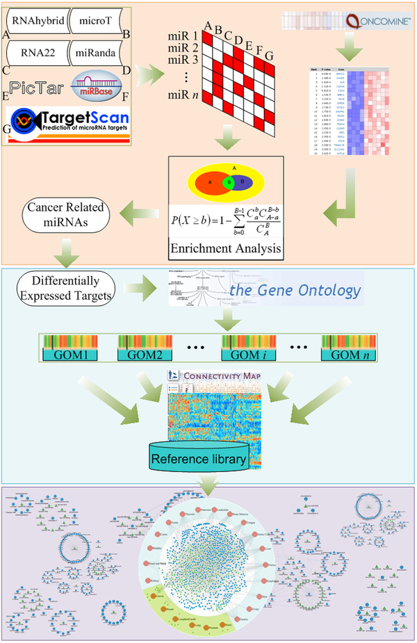 Li Xia and others found that small cancer molecules are associated with miRNAs