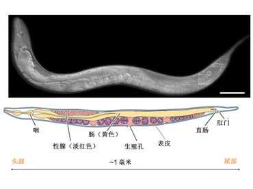 Figure 7.jpg