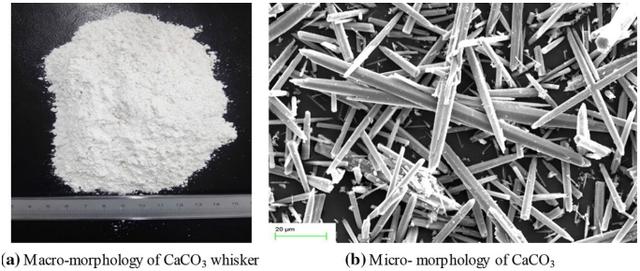 Calcium carbonate whisker