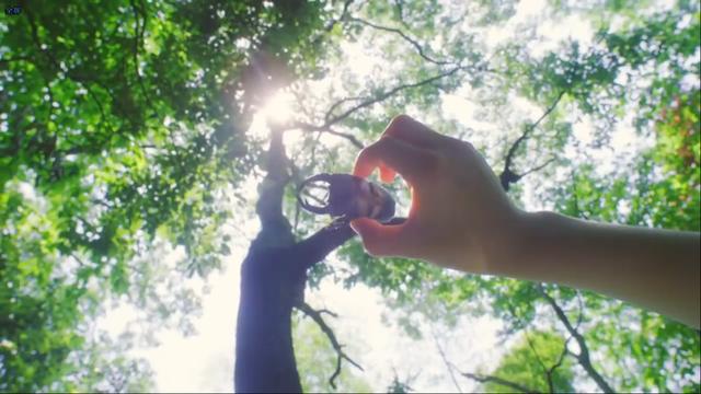ã€Šç²¾çµå®å¯æ¢¦ æ—¥/æœˆã€‹PVç¬¬äºŒå¼¹æ¥è¢­ çŽ©æ³•å†æ¬¡è¿›åŒ–å€¼å¾—æœŸå¾… ARæ¸¸æˆ ç¬¬5å¼ 