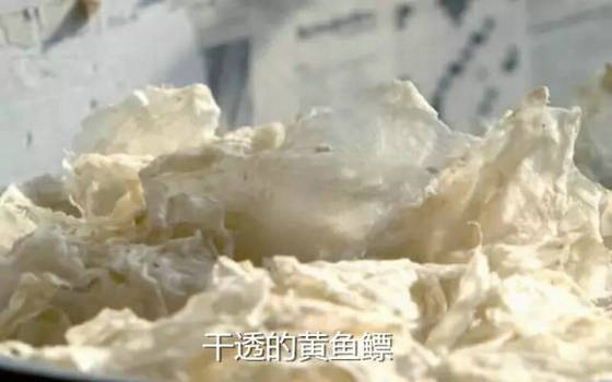 Dried squid