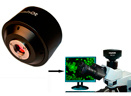 Microscope CCD camera