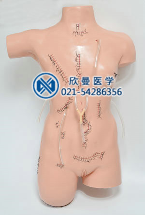 Surgical suture dressing display model front structure