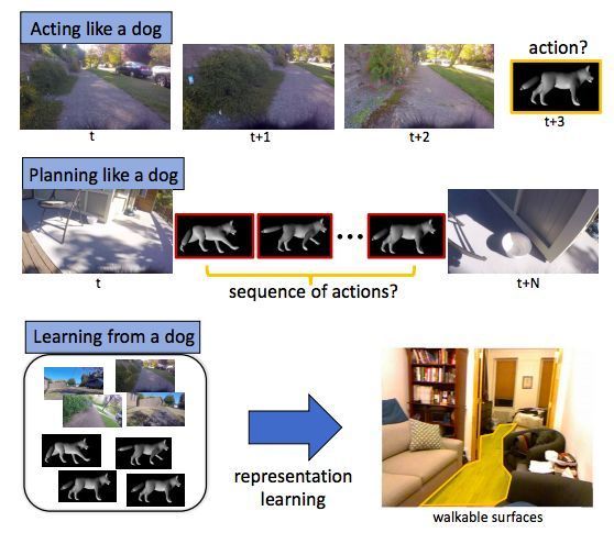 Shocked! University of Washington develops AI system that simulates dog behavior