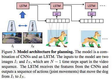 Shocked! University of Washington develops AI system that simulates dog behavior