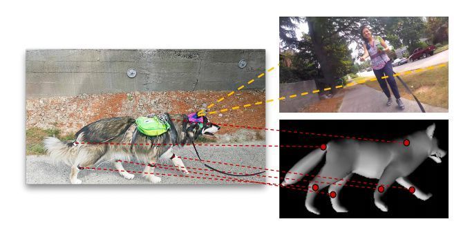 Shocked! University of Washington develops AI system that simulates dog behavior