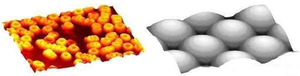 KAUST University develops a new method for quantitative phase and grayscale imaging