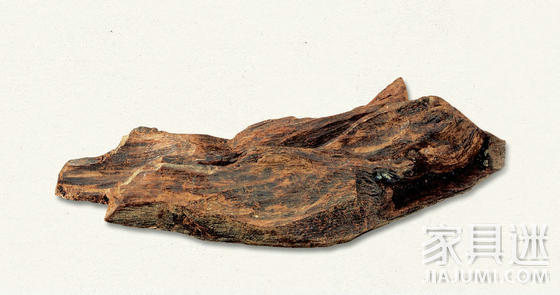 Agarwood