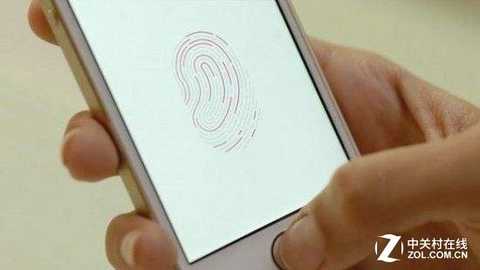 The development cost of fingerprint identification is very high