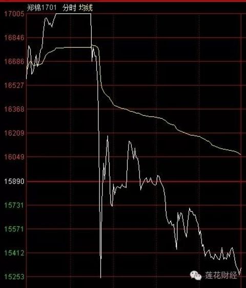 Commodity cattle are terrified by midnight 4