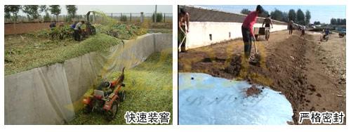 Making silage