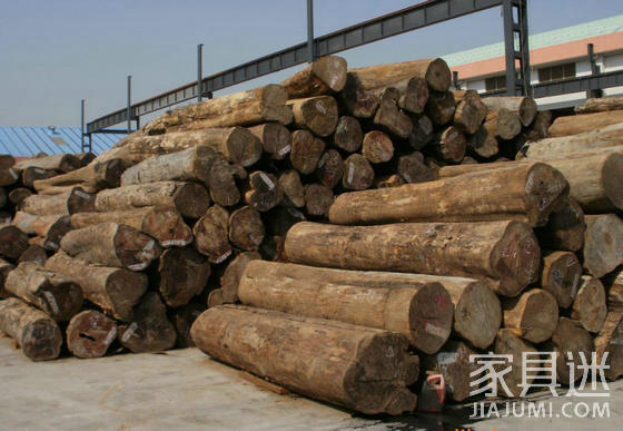 Imported wood species