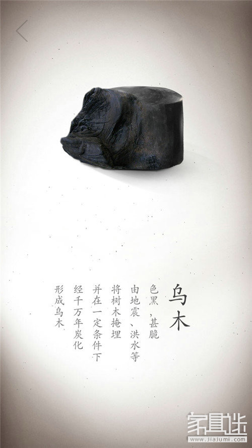 Wood (14)_1.jpg
