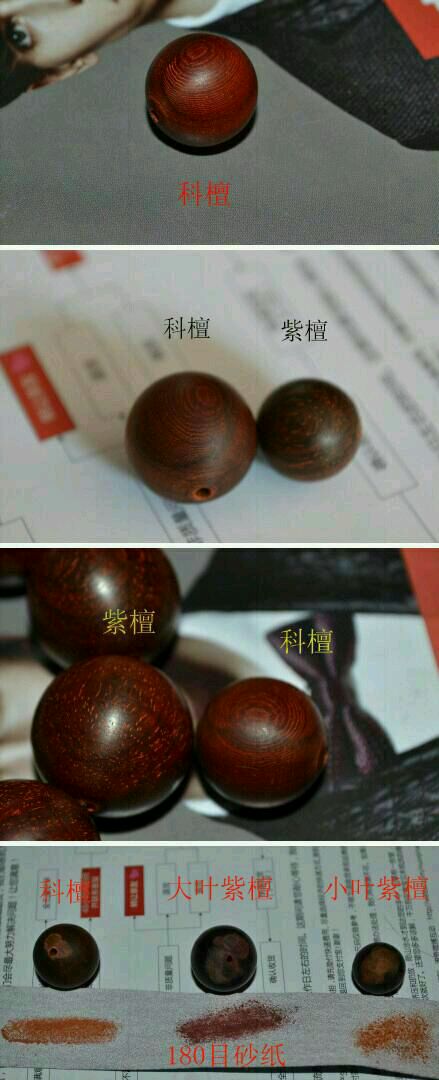 Kotan and lobular rosewood