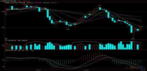 EIA stocks make the oil market bulls happy, OPEC monthly report is expected to send good news