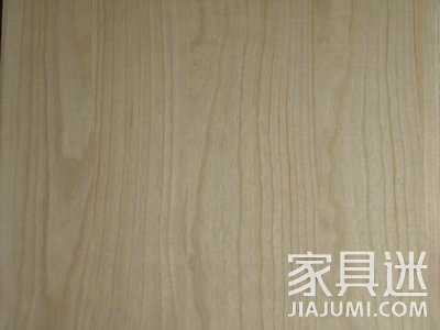 Paulownia