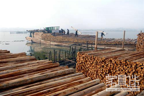 Timber market