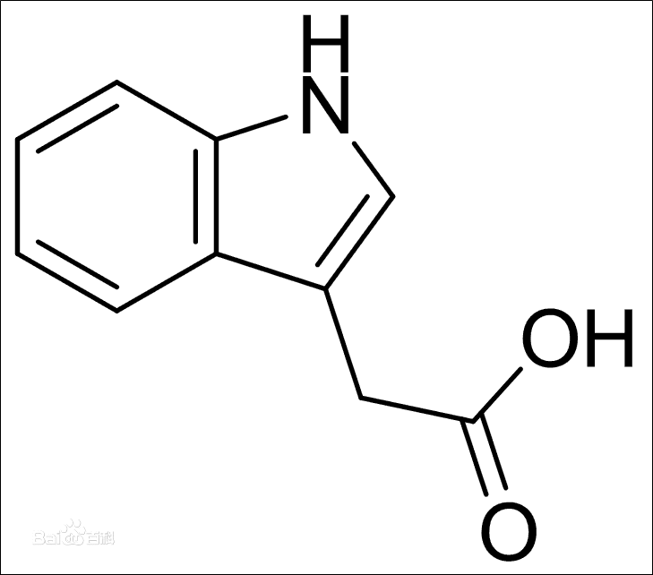 The role of indole acetic acid