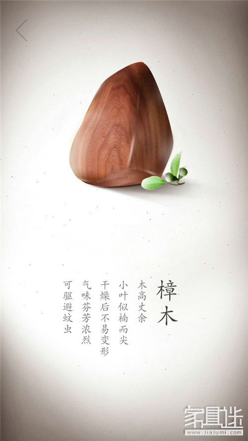 Wood (7)_1.jpg