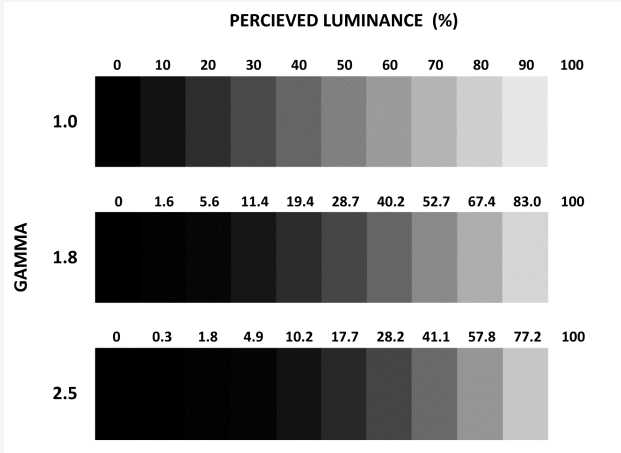 Figure 3: Gamma response related brightness change comparison (gamma, perceived brightness)
