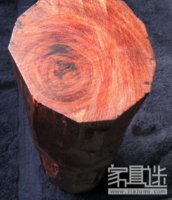 Indian lobular rosewood.Jpg