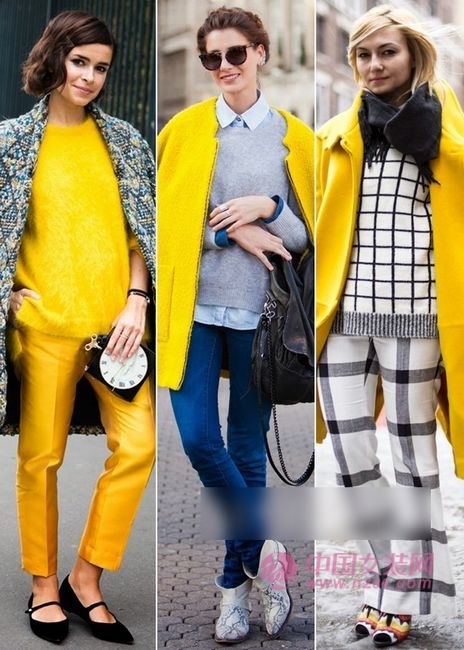 Bright yellow sparkle in winter (Figure 1) 冬日明媚黄色闪闪惹人爱(图1)