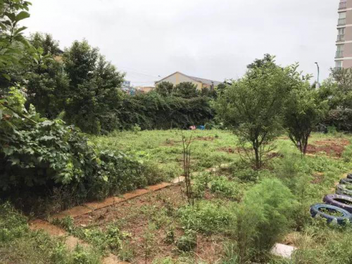 19-day renovation and renovation of Qingmiaohui Kindergarten