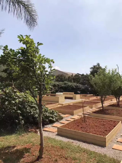 19-day renovation and renovation of Qingmiaohui Kindergarten