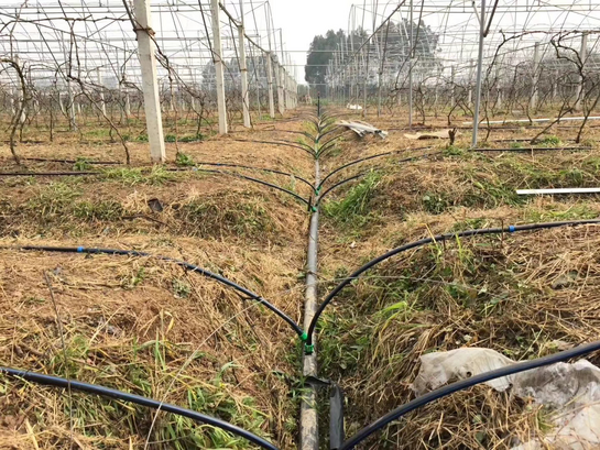 Songyuan Rice Industry Installation Site