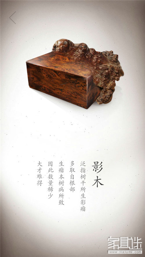 Wood (12)_1.jpg