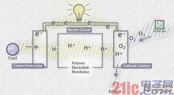 At the anode, a catalyst, usually platinum, separates the electrons of the hydrogen atoms, leaving positively charged hydrogen ions and free electrons. A membrane between the anode and the cathode only allows passage of hydrogen ions. This means that the electrons only move along the outer circuit, which in turn generates a current.