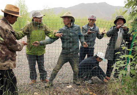 Tibetan rangers use their actions and efforts to demonstrate their recognition and confidence from the heart. Fire inflammation