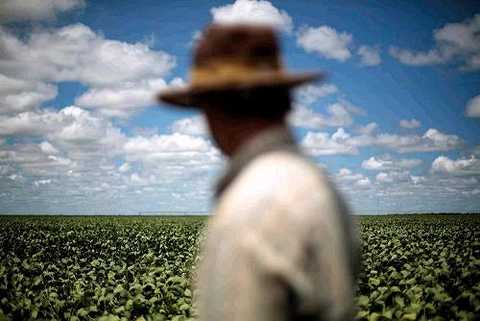 (The president of the American Soybean Association pointed out that crop prices have fallen by 40% in the past five years, resulting in a 50% drop in farm income. â€œThe demand from China is the mainstay of soybean prices. If demand falls, prices will fall, many farms will not make ends meet, or even continue. Cultivation". Figure / Reuters)