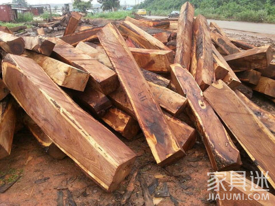 Hedgehog rosewood raw material